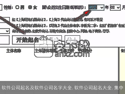 软件公司起名及软件公司名字大全,软件公司起名大全,集中