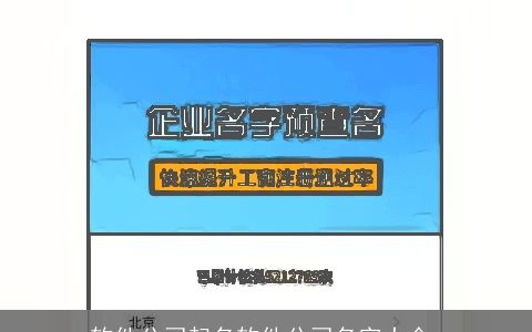 软件公司起名软件公司名字大全,