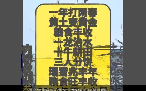 适合农业有限公司名字2024年比较聚财的公司大全,起名大全,有内涵独一无二的公司公司名