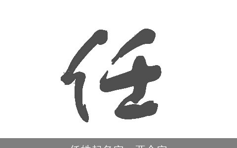 任姓起名字，两个字