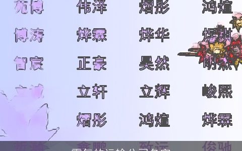 霸气的运输公司名字