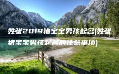 姓张2019猪宝宝男孩起名(姓张猪宝宝男孩起名的注意事项)