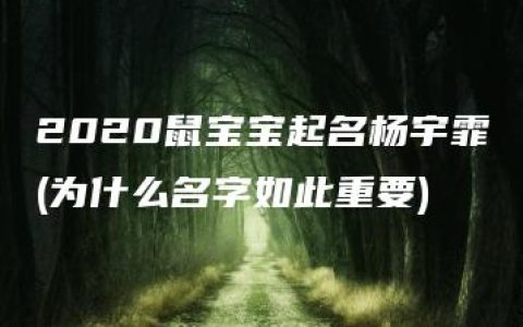 2020鼠宝宝起名杨宇霏(为什么名字如此重要)