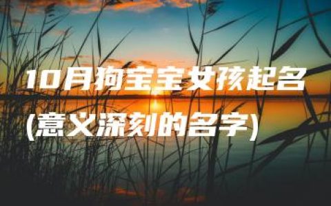 10月狗宝宝女孩起名(意义深刻的名字)