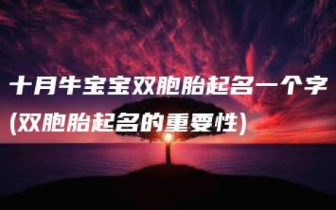 十月牛宝宝双胞胎起名一个字(双胞胎起名的重要性)