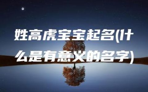 姓高虎宝宝起名(什么是有意义的名字)