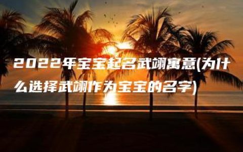 2022年宝宝起名武翊寓意(为什么选择武翊作为宝宝的名字)