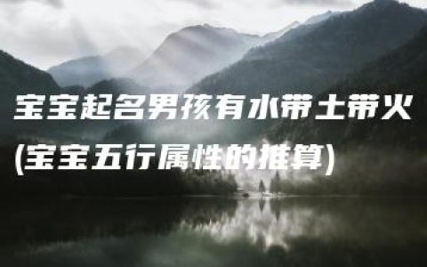 宝宝起名男孩有水带土带火(宝宝五行属性的推算)