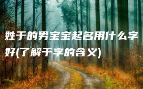 姓于的男宝宝起名用什么字好(了解于字的含义)