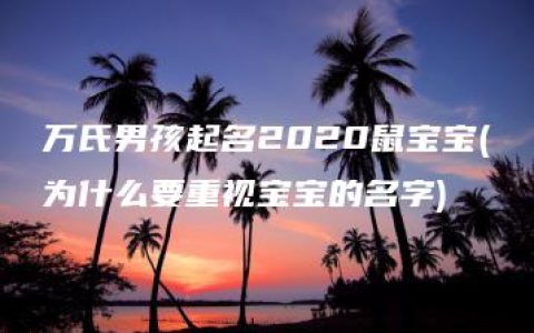 万氏男孩起名2020鼠宝宝(为什么要重视宝宝的名字)