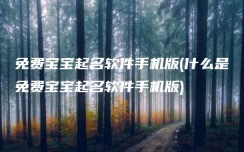 免费宝宝起名软件手机版(什么是免费宝宝起名软件手机版)