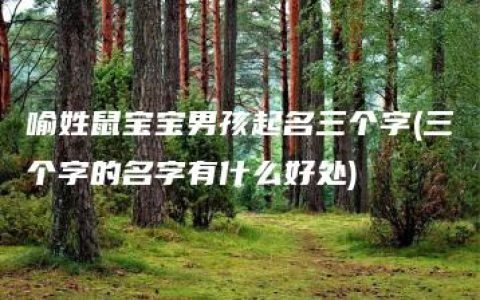 喻姓鼠宝宝男孩起名三个字(三个字的名字有什么好处)