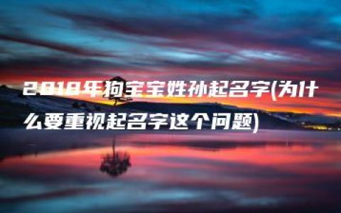 2018年狗宝宝姓孙起名字(为什么要重视起名字这个问题)