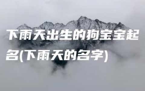 下雨天出生的狗宝宝起名(下雨天的名字)