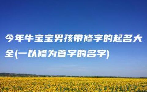 今年牛宝宝男孩带修字的起名大全(一以修为首字的名字)