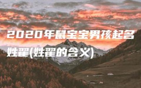 2020年鼠宝宝男孩起名姓翟(姓翟的含义)