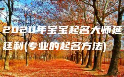 2020年宝宝起名大师延廷利(专业的起名方法)