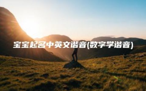 宝宝起名中英文谐音(数字学谐音)