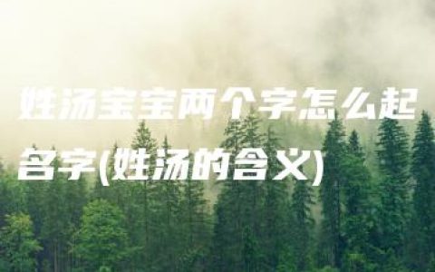 姓汤宝宝两个字怎么起名字(姓汤的含义)