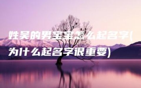 姓吴的男宝宝怎么起名字(为什么起名字很重要)