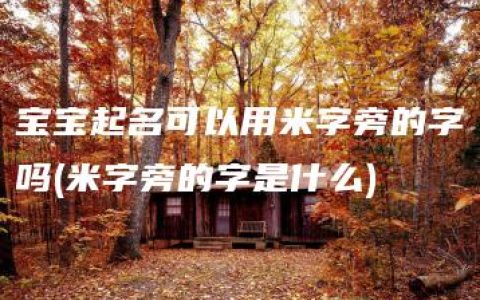 宝宝起名可以用米字旁的字吗(米字旁的字是什么)