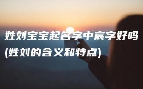 姓刘宝宝起名字中宸字好吗(姓刘的含义和特点)