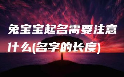 兔宝宝起名需要注意什么(名字的长度)