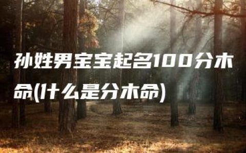 孙姓男宝宝起名100分木命(什么是分木命)