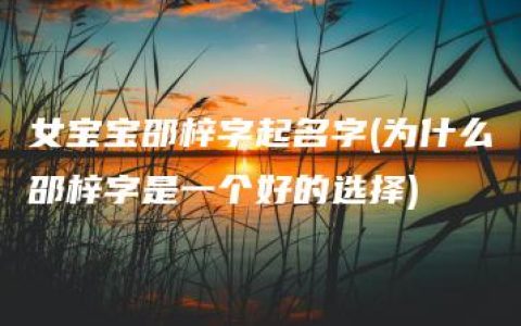 女宝宝邵梓字起名字(为什么邵梓字是一个好的选择)