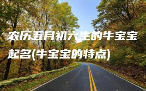 农历五月初六生的牛宝宝起名(牛宝宝的特点)