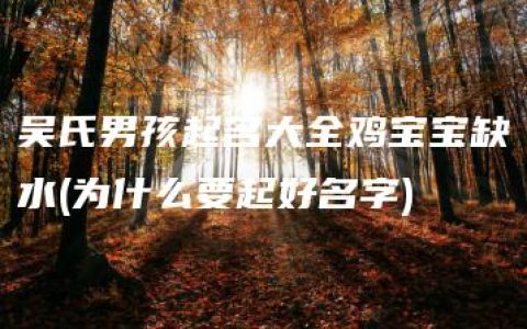 吴氏男孩起名大全鸡宝宝缺水(为什么要起好名字)