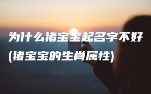 为什么猪宝宝起名字不好(猪宝宝的生肖属性)