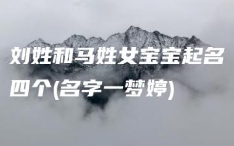 刘姓和马姓女宝宝起名四个(名字一梦婷)