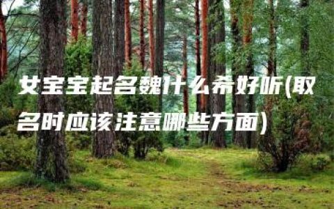 女宝宝起名魏什么希好听(取名时应该注意哪些方面)