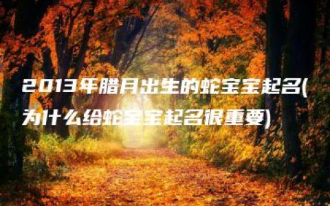 2013年腊月出生的蛇宝宝起名(为什么给蛇宝宝起名很重要)