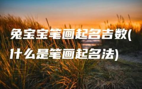 兔宝宝笔画起名吉数(什么是笔画起名法)