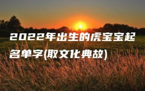 2022年出生的虎宝宝起名单字(取文化典故)