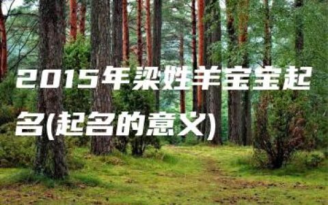 2015年梁姓羊宝宝起名(起名的意义)