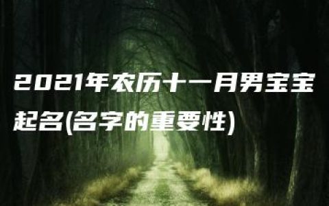 2021年农历十一月男宝宝起名(名字的重要性)