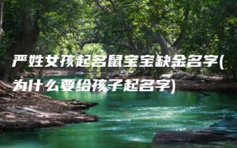 严姓女孩起名鼠宝宝缺金名字(为什么要给孩子起名字)