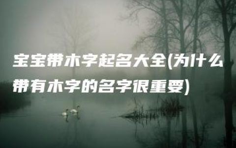 宝宝带木字起名大全(为什么带有木字的名字很重要)