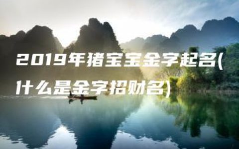 2019年猪宝宝金字起名(什么是金字招财名)