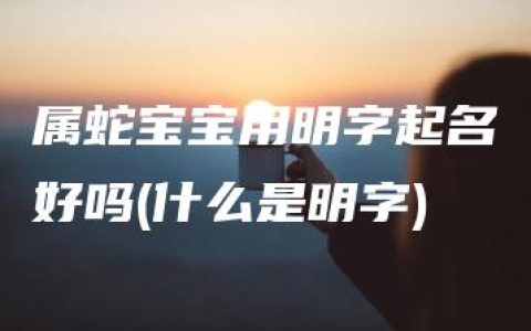 属蛇宝宝用明字起名好吗(什么是明字)