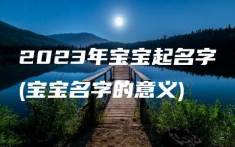 2023年宝宝起名字(宝宝名字的意义)