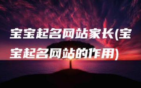 宝宝起名网站家长(宝宝起名网站的作用)