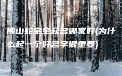 佛山蛇宝宝起名哪家好(为什么起一个好名字很重要)