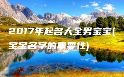 2017年起名大全男宝宝(宝宝名字的重要性)