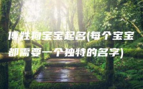 傅姓狗宝宝起名(每个宝宝都需要一个独特的名字)