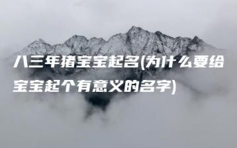 八三年猪宝宝起名(为什么要给宝宝起个有意义的名字)