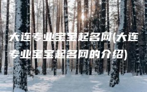 大连专业宝宝起名网(大连专业宝宝起名网的介绍)